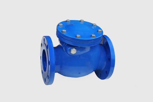 NRV-valve-2